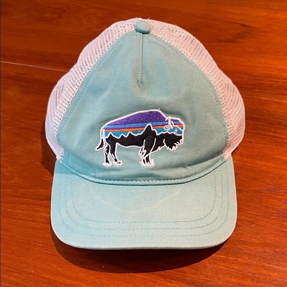 Patagonia Accessories - Patagonia Fitz Roy buffalo trucker hat